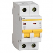 Автоматический выключатель ВА47-29 2Р  6А 4,5кА характеристика С ИЭК (автомат)